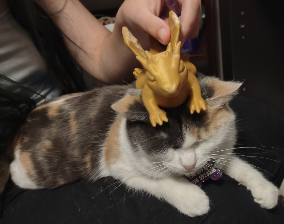 3D Printed Dragon on My Cat Cali